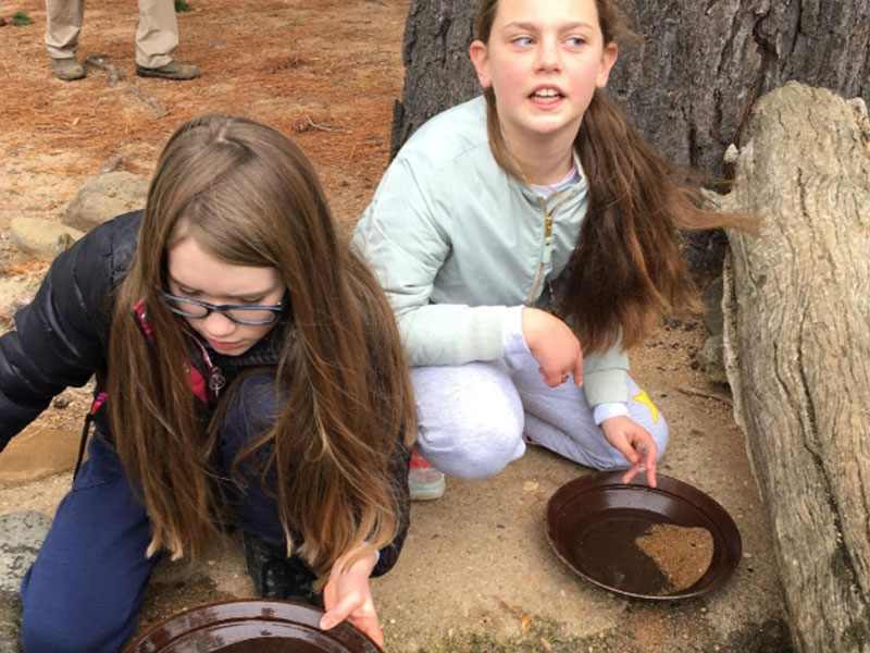 St Angela's Castle Hill students finding gold
