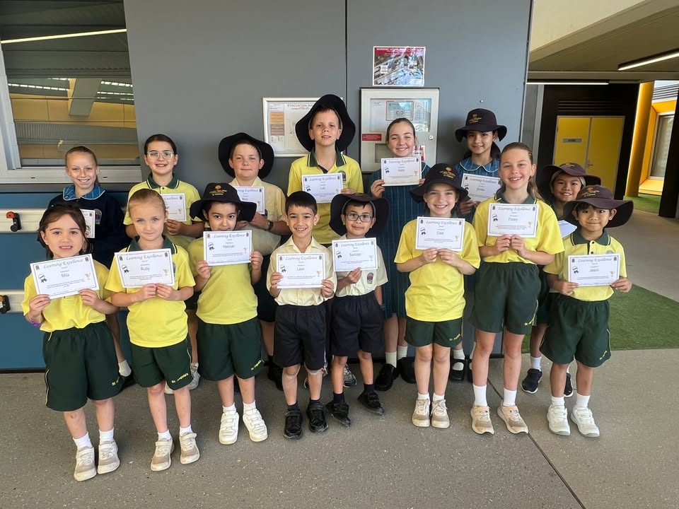 992090519583704_1433558675436884-1