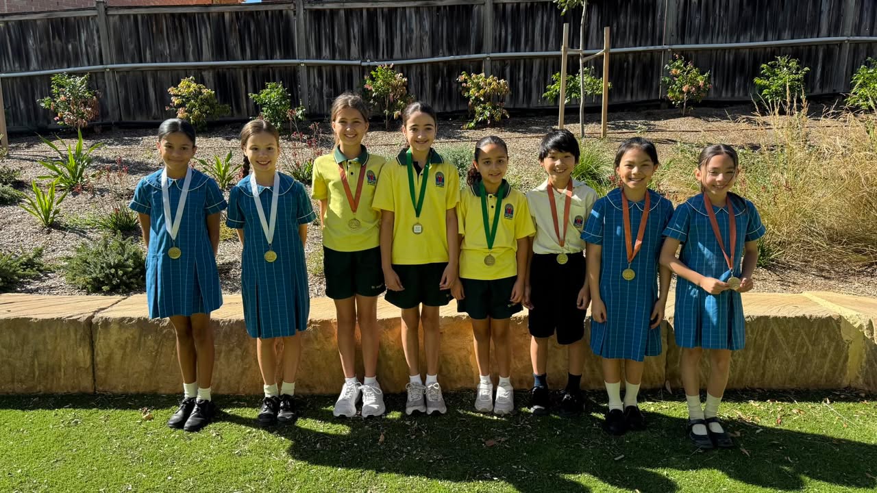 992090519583704_1438932324899519-1