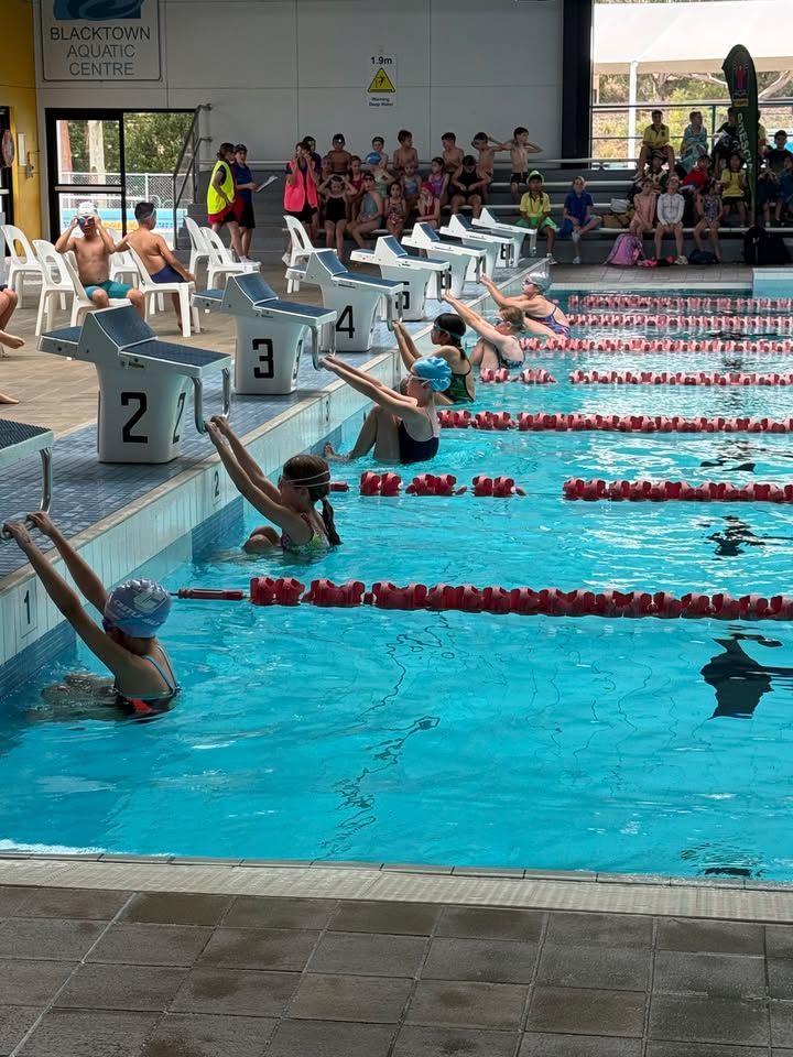 992090519583704_1450658963726855-1