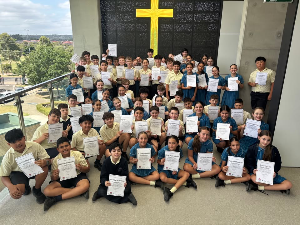 992090519583704_1455933209866097-1