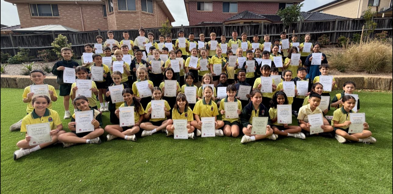 992090519583704_1456092106516874-1