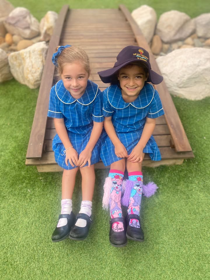 992090519583704_1527499779376106-1