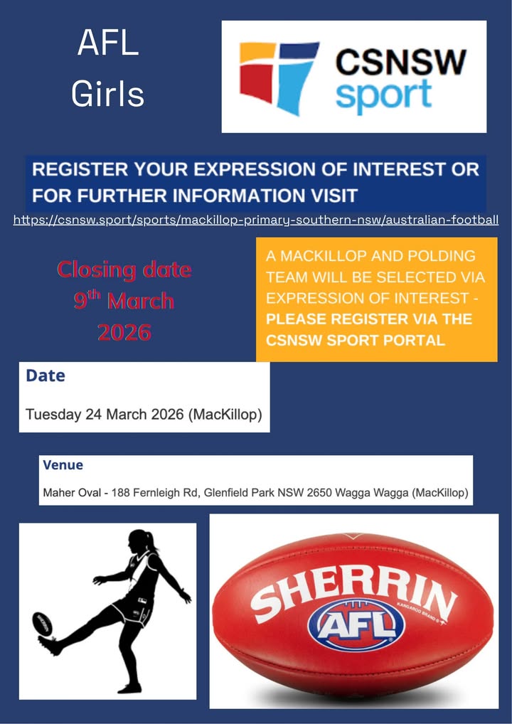 992090519583704_1528634972595920-1