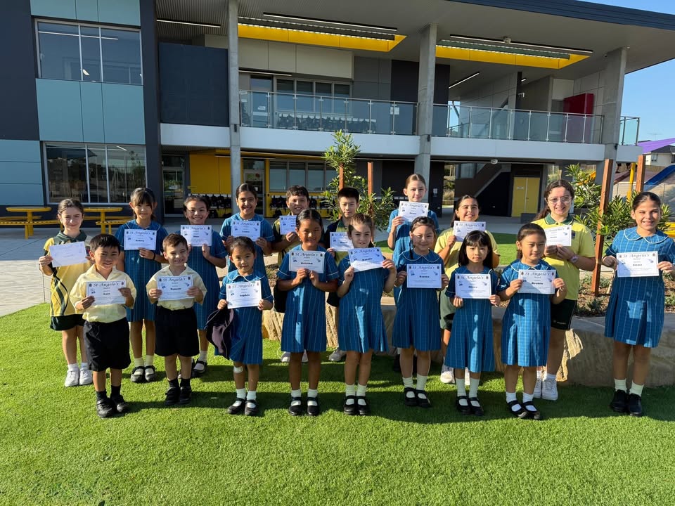 992090519583704_1529078462551571-1