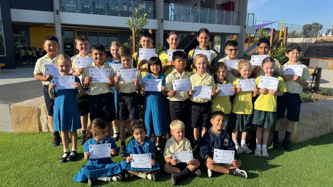 992090519583704_1537914011668016-1