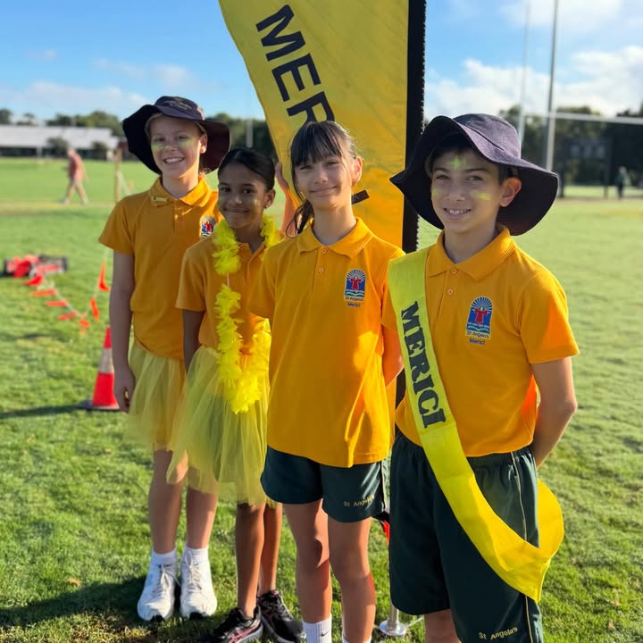 992090519583704_1544556974337053-1