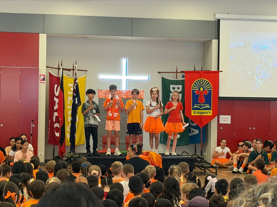 992090519583704_1547998367326247-1