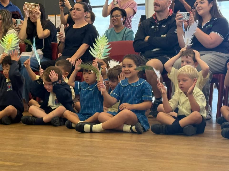 992090519583704_1554465913346159-1