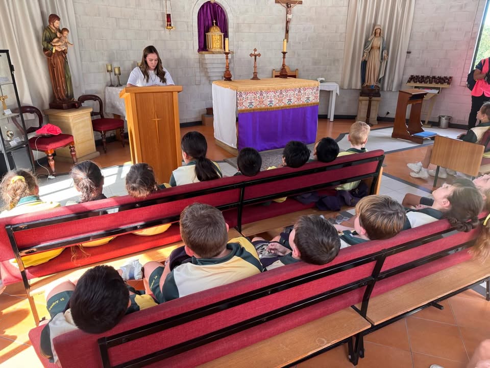 992090519583704_1555360519923365-1