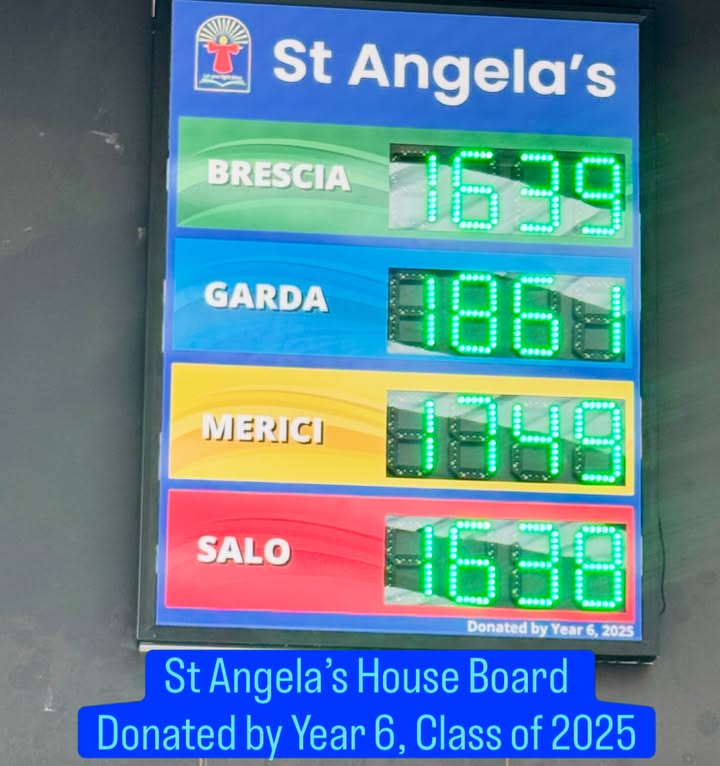992090519583704_1691931909599558-1