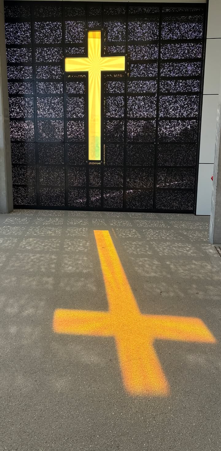 992090519583704_1709053244554091-1